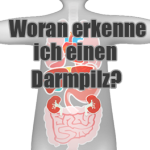 Woran erkenne ich Darmpilz Symptome? Woran erkenne ich Darmpilz Symptome?