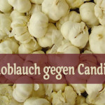 Mit der Power-Knolle Knoblauch gegen Candida